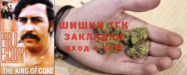 стаф Алексеевка